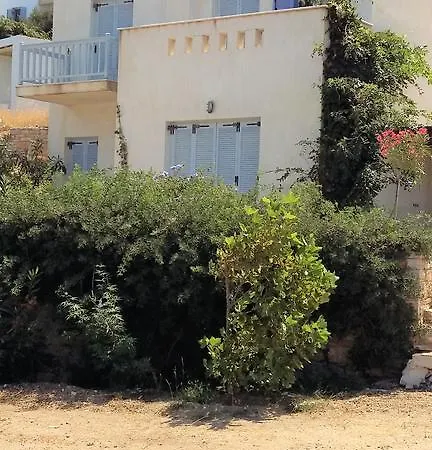 Joy's * Mikrí Vígla